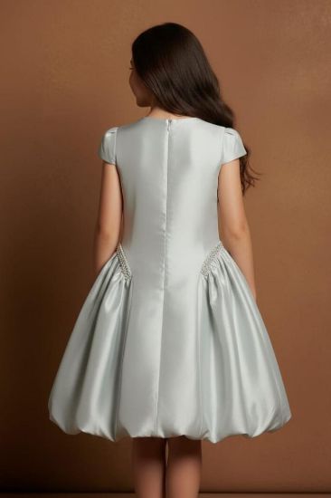 صورة فستان فضي ثلجي حرير مرصع بالؤلؤ